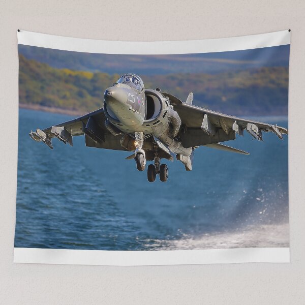 Item preview, Hawker Siddeley Harrier designed and sold by Skyframe Aviation.