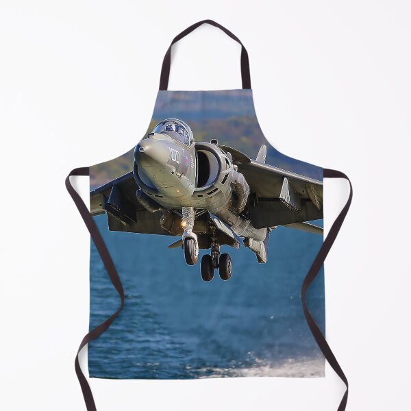 Item preview, Hawker Siddeley Harrier designed and sold by Skyframe Aviation.