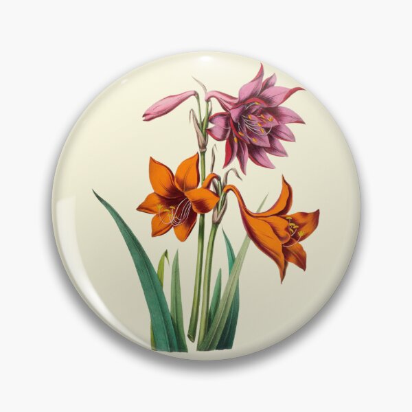 Item preview, Antique Orange Pink Amaryllis Flowers designed and sold by IrisAndIvy.