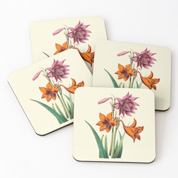 Item preview, Antique Orange Pink Amaryllis Flowers designed and sold by IrisAndIvy.