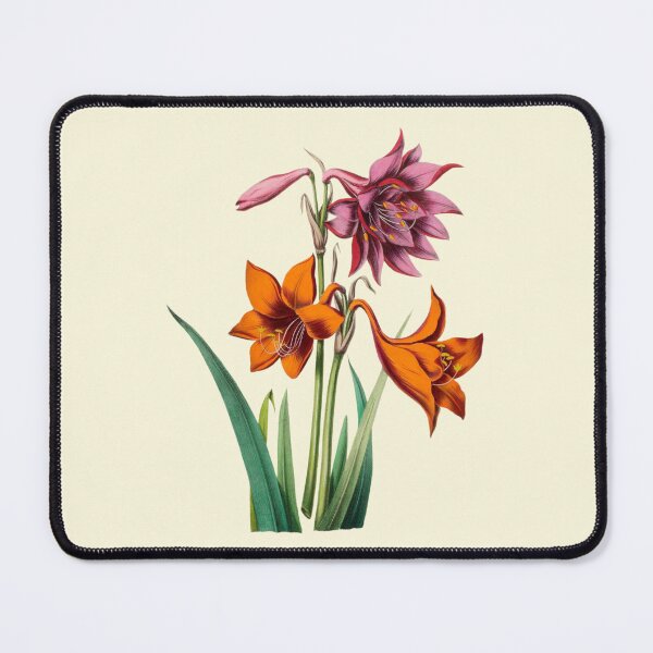 Item preview, Antique Orange Pink Amaryllis Flowers designed and sold by IrisAndIvy.