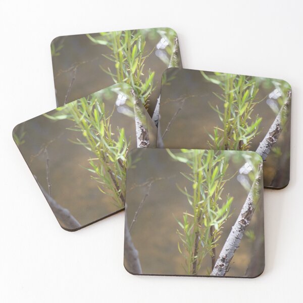 Item preview, Early Spring designed and sold by Levitatelevate.