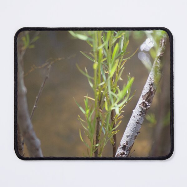 Item preview, Early Spring designed and sold by Levitatelevate.