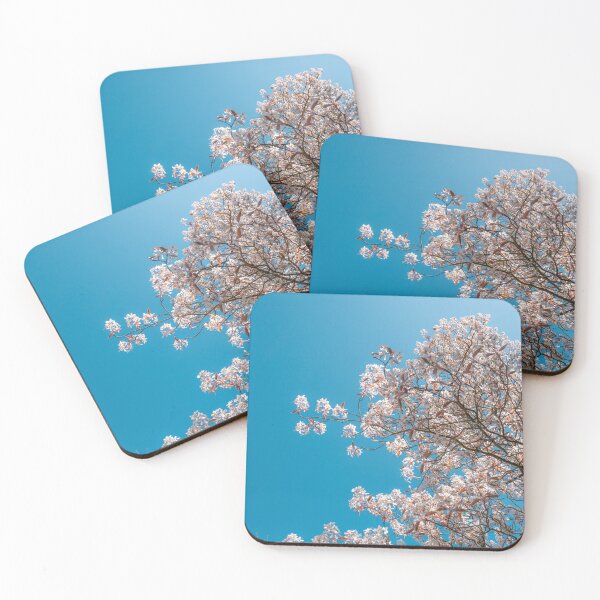 Item preview, Spring awakening - white flowering tree designed and sold by TW-Fotos.