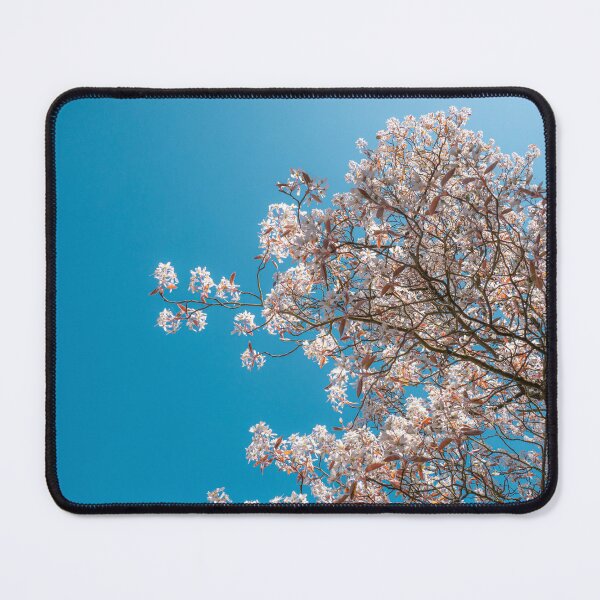 Item preview, Spring awakening - white flowering tree designed and sold by TW-Fotos.