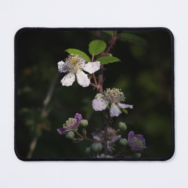 Item preview, bramble flower designed and sold by Murph's Images.
