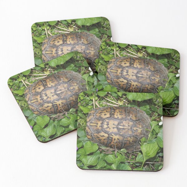 Item preview, Eastern Box Turtle with violets  designed and sold by McFleur's Lens.