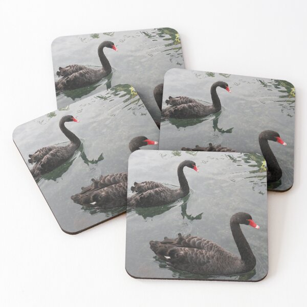 Item preview, Two black swans in the lake designed and sold by The Ink Nest..