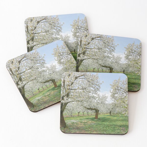 Item preview, The cherry blossom is in its full splendor designed and sold by MarionsArt.