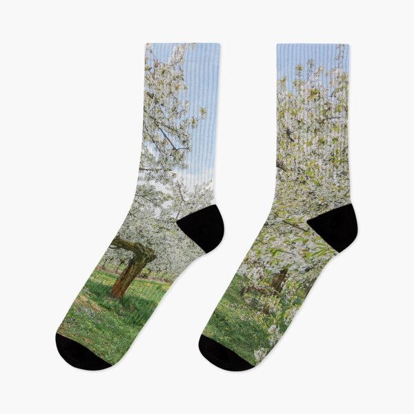 Item preview, The cherry blossom is in its full splendor designed and sold by MarionsArt.