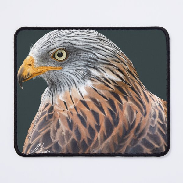Item preview, Bird of Prey designed and sold by Joanne Worthington Art.