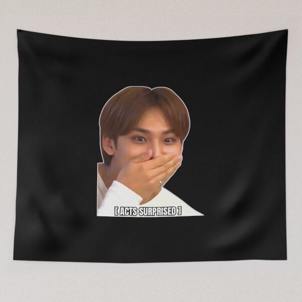 Aperçu de l'œuvre DIX-SEPT MEME MINGYU créée et vendue par cutiecatto17.