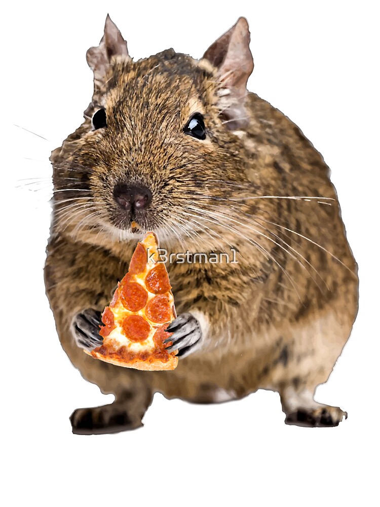 Degu Eating A Slice Of Pizza Shirt
