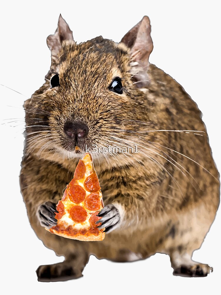 Degu Eating A Slice Of Pizza Shirt