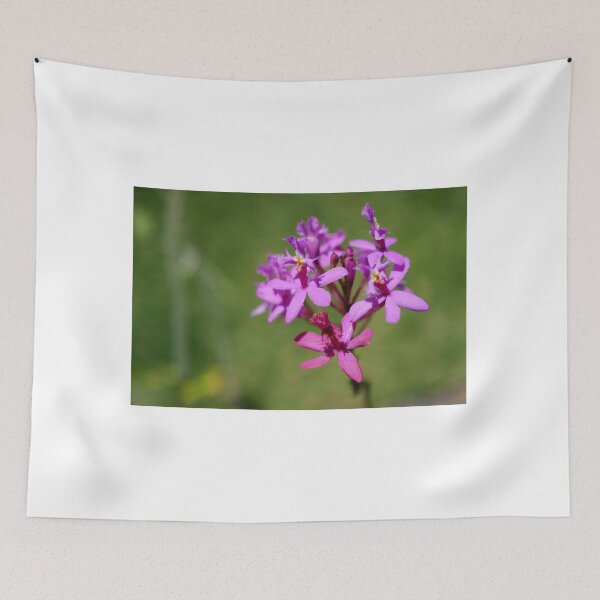 Item preview, wild orchid designed and sold by NanaPhoto07.