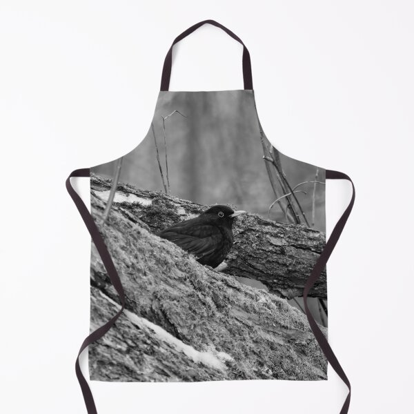Item preview, Eurasian blackbird and the old old trees bw designed and sold by Jouko Lehto Photography.