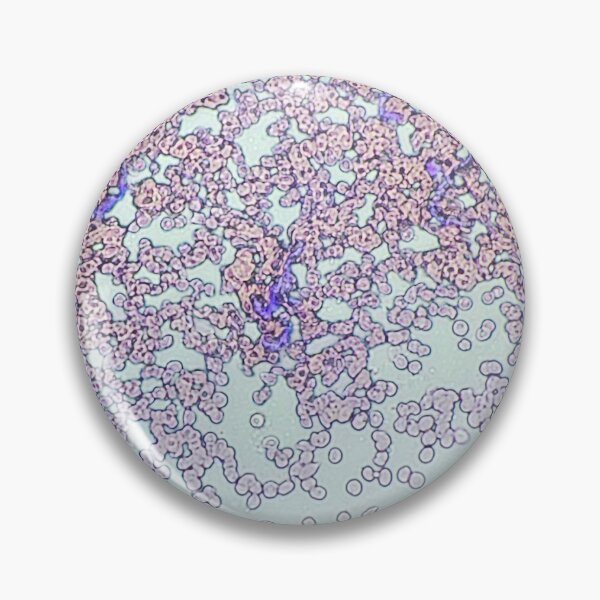 Item preview, The Cells of Life designed and sold by bacteriababe.