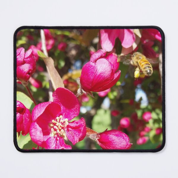 Item preview, Honey Bee Crabapple Blossoms designed and sold by Debbie Schulte.