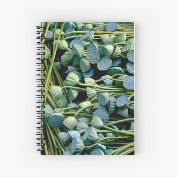 Lotus Pods Spiral Notebook