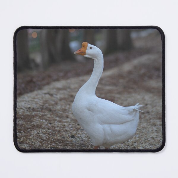 Item preview, Goosey designed and sold by eidetic-storage.
