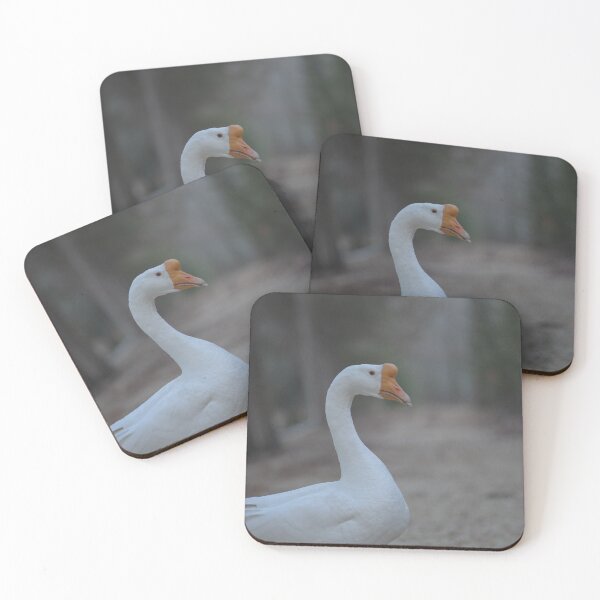 Item preview, Untitled Goose Photo designed and sold by eidetic-storage.