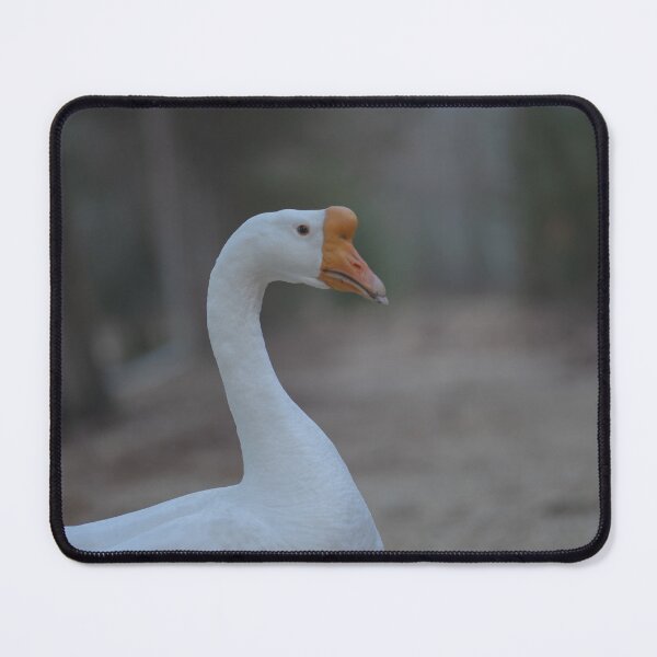 Item preview, Untitled Goose Photo designed and sold by eidetic-storage.