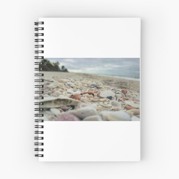 Item preview, Conchas y guijarros en la playa designed and sold by Doodles & More Emporium.