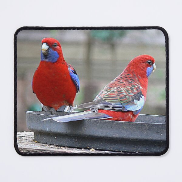 Item preview, Wearing Red with Pride designed and sold by Larry Davis.