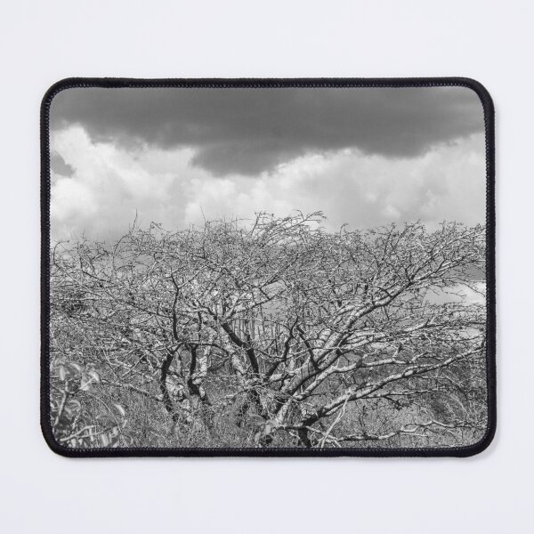 Item preview, gran árbol seco en blanco y negro designed and sold by felipequeiroz.