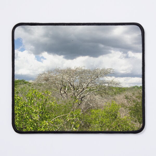 Item preview, resounding nature designed and sold by felipequeiroz.
