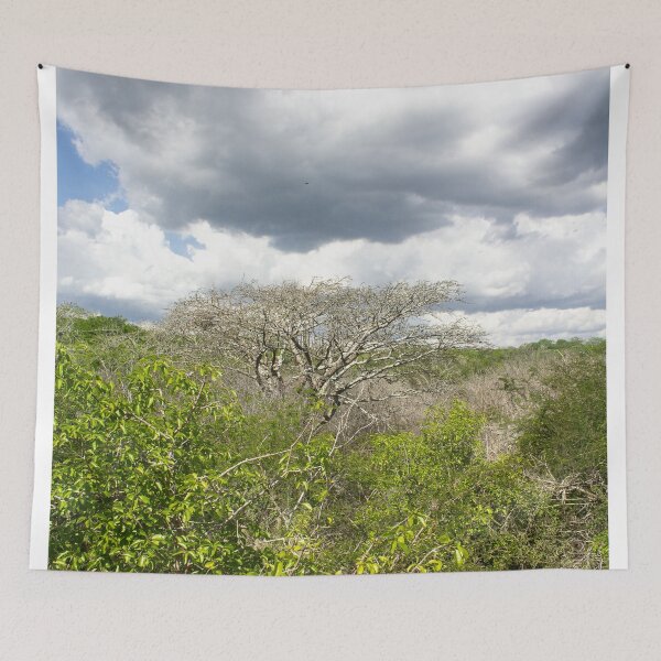 Item preview, resounding nature designed and sold by felipequeiroz.