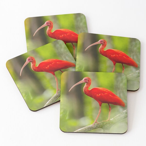 Item preview, Scarlet Ibis designed and sold by Wes Goorachan.