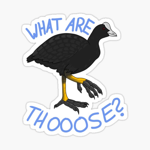 Item preview, What are thoooose? Eurasian coot designed and sold by itsblakey.