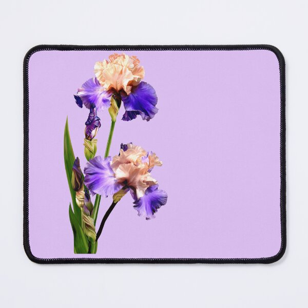 Item preview, Florentine Silk Iris designed and sold by Anthony Seeker.