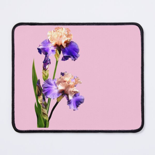 Item preview, Florentine Silk Iris designed and sold by Anthony Seeker.