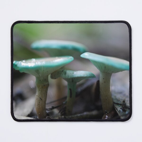 Item preview, Mycena interrupta designed and sold by Larry Davis.