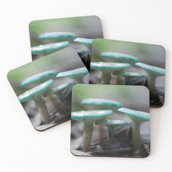 Item preview, Mycena interrupta designed and sold by Larry Davis.