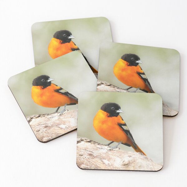 Artikelvorschau, Baltimore Oriole-Porträt entworfen und verkauft von BirdsnStuff.