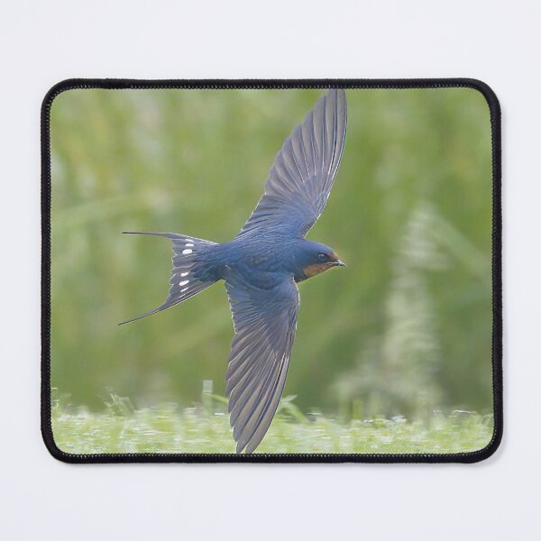 Item preview, Barn Swallow in Flight designed and sold by BirdsnStuff.