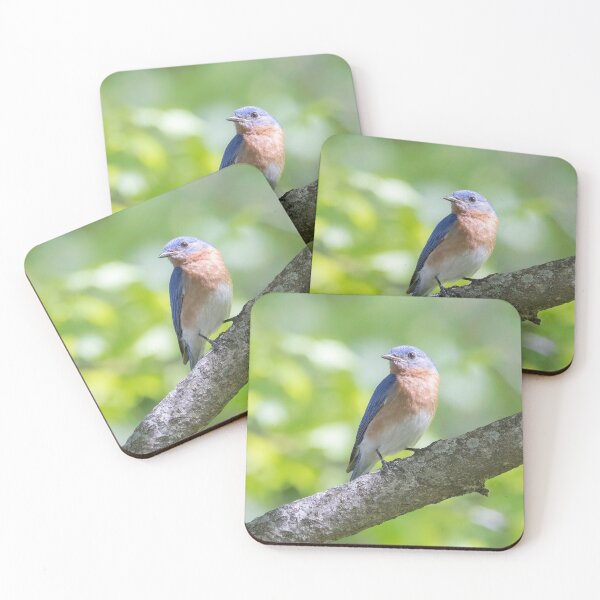 Item preview, Eastern Bluebird on a nice summer day designed and sold by BirdsnStuff.