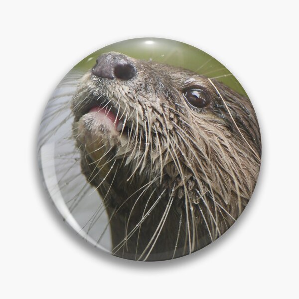 Item preview, Small Clawed Otter designed and sold by richardbryce.