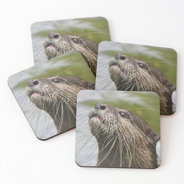 Item preview, Small Clawed Otter designed and sold by richardbryce.