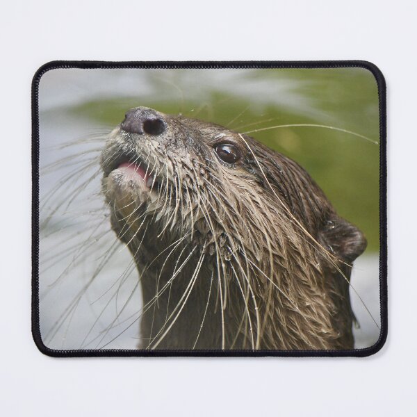 Item preview, Small Clawed Otter designed and sold by richardbryce.