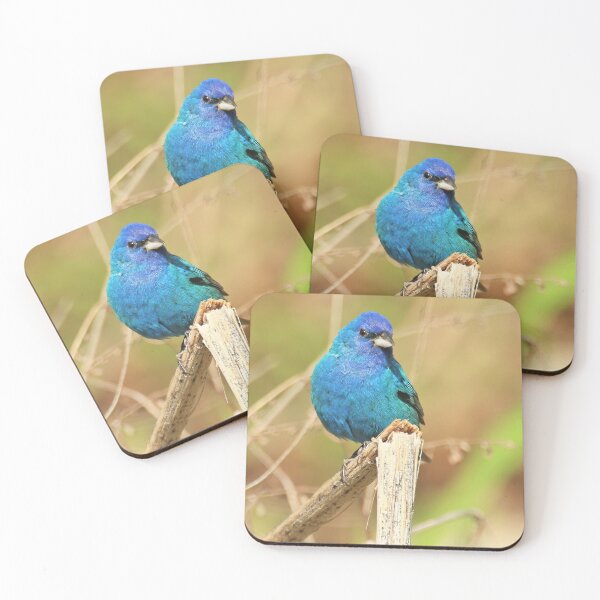 Item preview, Indigo Bunting 2022 designed and sold by BirdsnStuff.