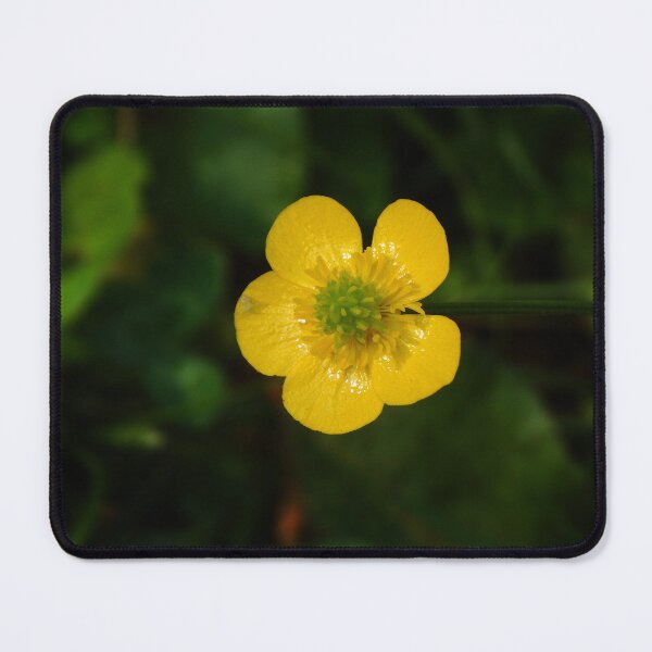 Item preview, Dewy Buttercup designed and sold by gistinker.