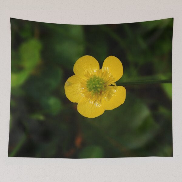 Item preview, Dewy Buttercup designed and sold by gistinker.