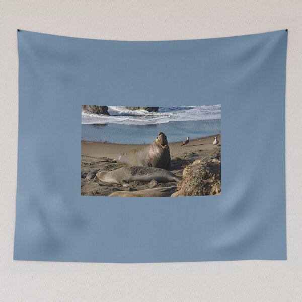 Item preview, Elephant Seal Family designed and sold by CarolM.