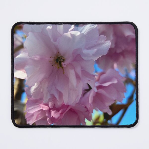Item preview, Blushing in Bloom designed and sold by Betsy Phillips.