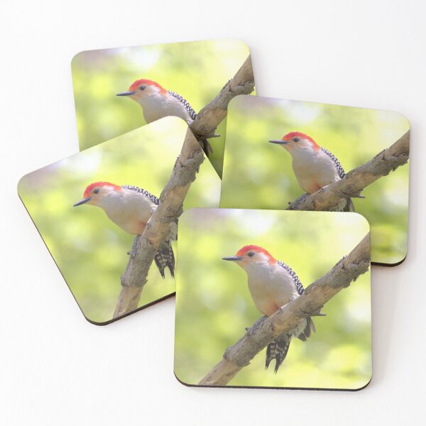 Item preview, Red bellied woodpecker designed and sold by BirdsnStuff.