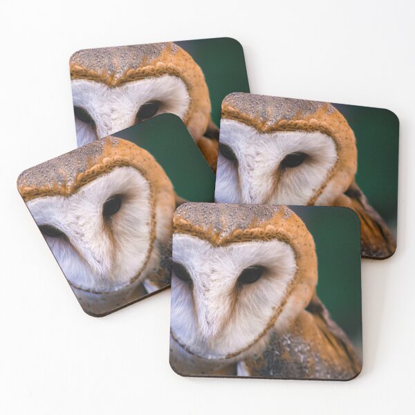 Item preview, Mirada de Buho designed and sold by Ignacio ramos.